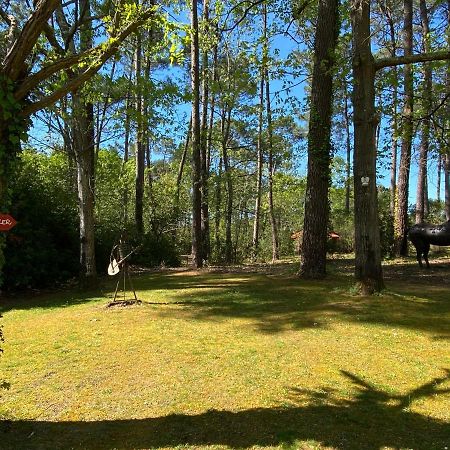 Le Petit Poulailler Au Beau Milieu Des Pins Villa Lacanau Exterior photo