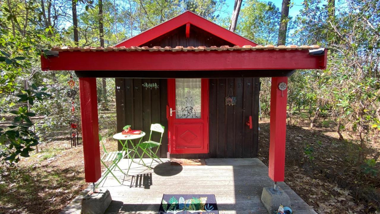 Le Petit Poulailler Au Beau Milieu Des Pins Villa Lacanau Exterior photo